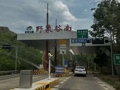-野象谷景区