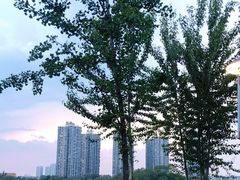 -长白岛森林公园