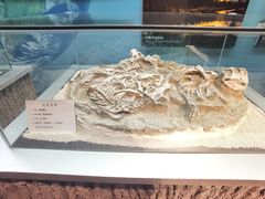 -大同煤炭博物馆