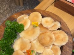 -季季山·云南野生菌火锅(上海首店)