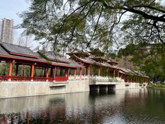 -重庆彩云湖湿地公园