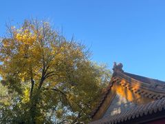 -文宇奶酪店(南锣鼓巷店)