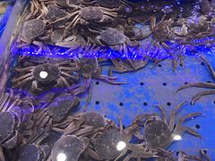 -澜悦港海鲜体验主题餐厅