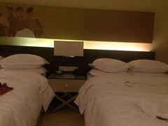 房间内-芽庄喜来登水疗酒店