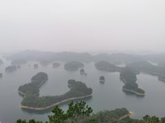 -千岛湖鱼味馆(十字街总店)