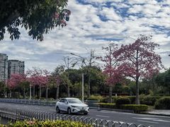 -厦门高崎国际机场-T3航站楼