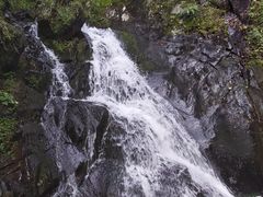 -凤凰山国家森林公园