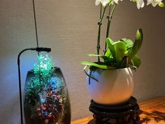 -王府茶楼茶宴·创意菜(朝阳公园店)