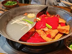 -阳阳老火锅(小南门店)