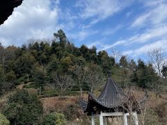 -安吉涵田度假村·龙倚楼咖啡厅