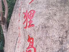 -野狸岛