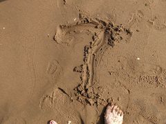 景点-南戴河国际娱乐中心