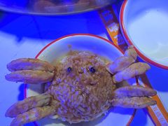 -徐记小怪兽肉蟹煲店(哈西万达金街店)