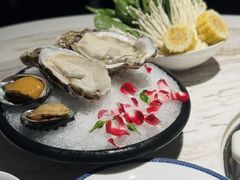 -汤城·料青山