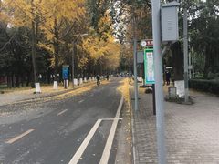 -金紫薇酒店(成都春熙路步行街店)
