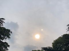 -上海滨江森林公园