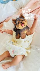 -baby bella小贝拉母婴护理中心(北京东隅店)