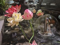 -徽镇小厨·经典徽菜(十里河店)
