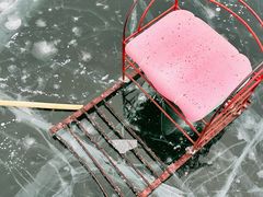 -长春市南湖公园