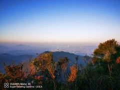 -梧桐山风景名胜区