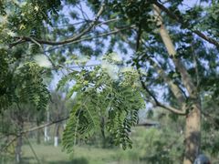 -白鹭湾湿地公园