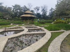 -广西壮族自治区药用植物园