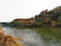 -白马涧龙池景区