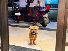 -恩宁刘福记(东华东路店)