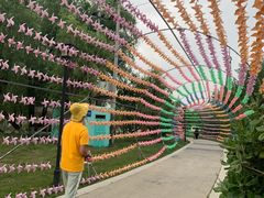 -祥源·阜阳生态乐园