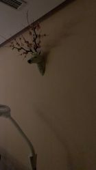 -琦品高端美容SPA会所