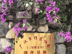 -鱼凫人家