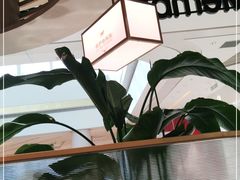 -凯萨印象铁板烧(苏州中心店)