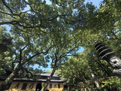 -普陀山风景名胜区-法雨禅寺