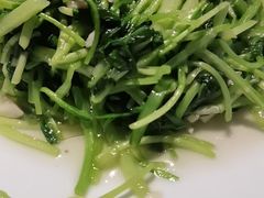 -鸽子窝(宋庄店)