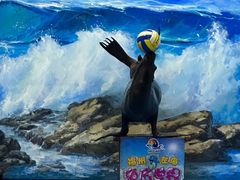 -左海海底世界