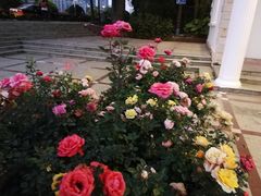 -人民公园(罗湖区)