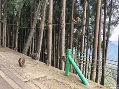 -太阳湾风景区