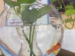 -思味特(纬一路店)