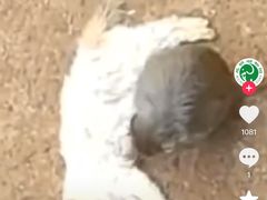 -昆明动物园