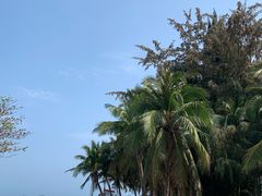 -三亚西岛海洋文化旅游区