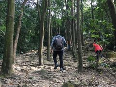 景点-火炉山森林公园