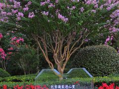 -杭州城北体育公园