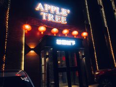 门面-苹果树下艺术餐厅(宋庄店)