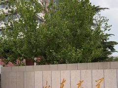 -山东大学(千佛山校区)