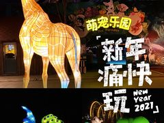 -南宫五洲植物乐园