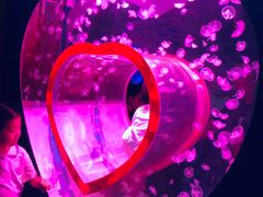 -多彩贵州城极地海洋世界