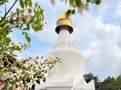 -五台山风景名胜区-罗睺寺