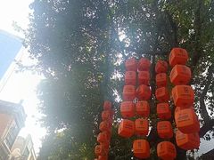 -越秀西湖花市(广州城市广场花卉店)
