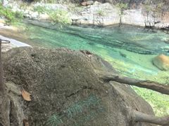 -黄山翡翠谷景区