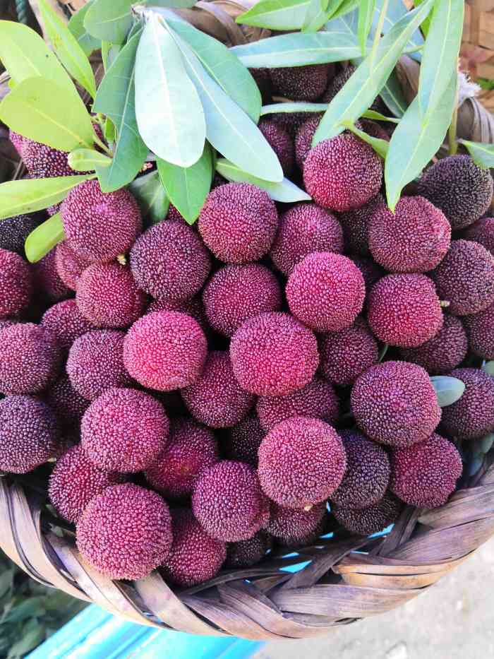 东山乌紫杨梅-"919191正宗东山乌紫杨梅上市啦,要吃.